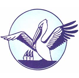 p004
